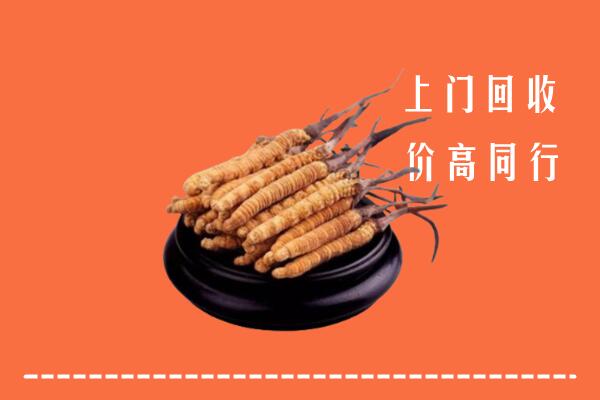 高价求购：福州市回收散虫草