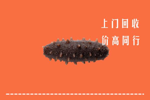 福州市回收海参
