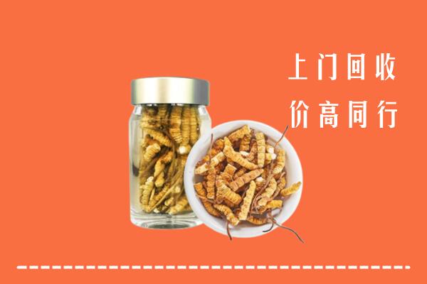 福州市回收冬虫夏草